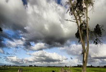 欧联篮球杯冠军将在哪支球队诞生